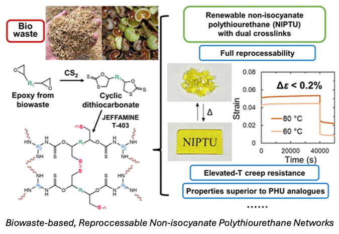 Biowaste-based, Reproccessable Non-isocyanate Polythiourethane Networks